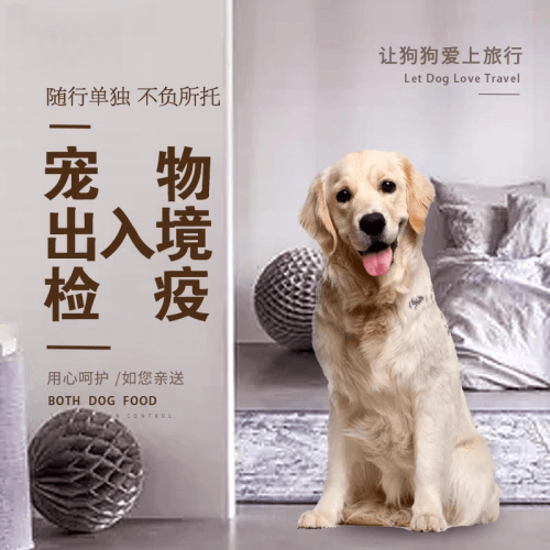 三门峡市宠物托运到哥伦比亚猫狗宠物入境规定和