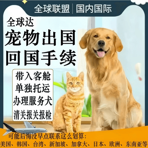 三门峡市宠物托运到柬埔寨宠物入境规定和要求