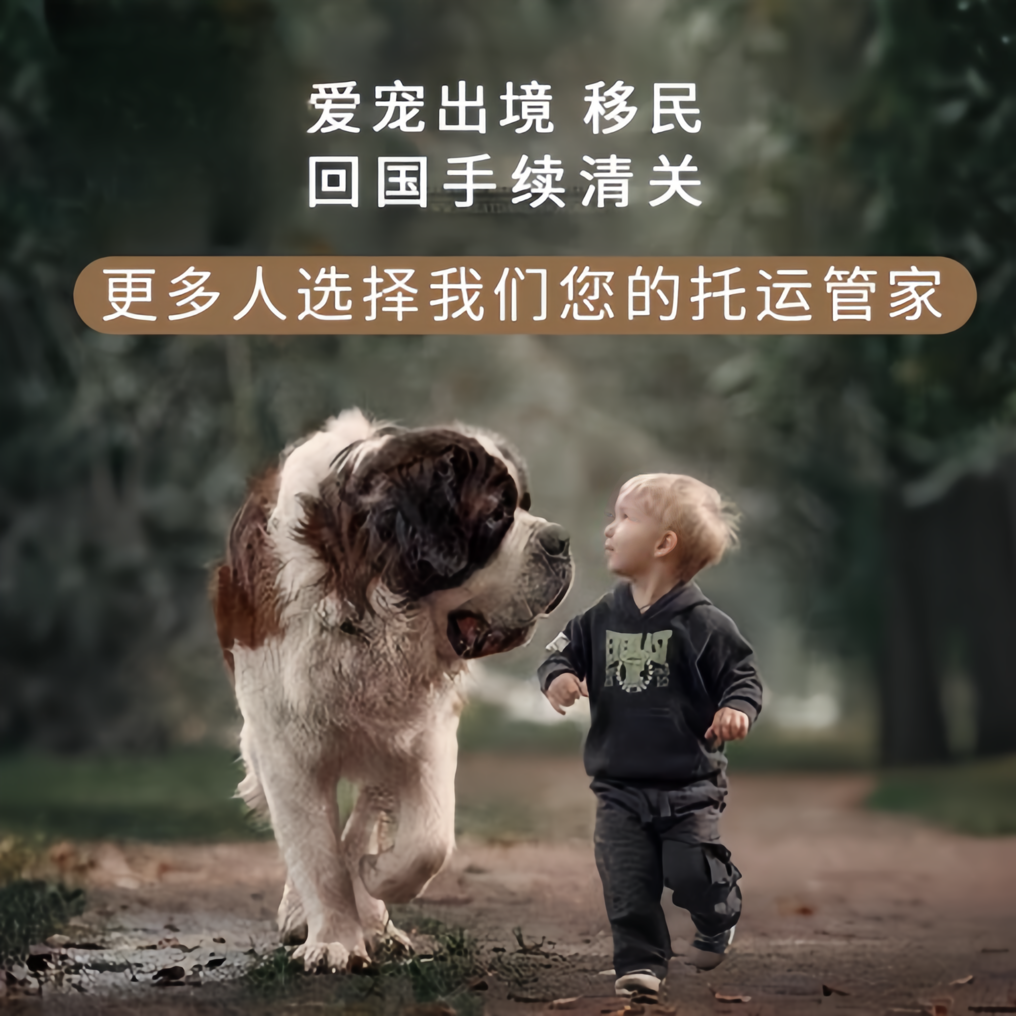 满财三门峡市宠物全球达宠物托运在遵守入境目的地政策的条件