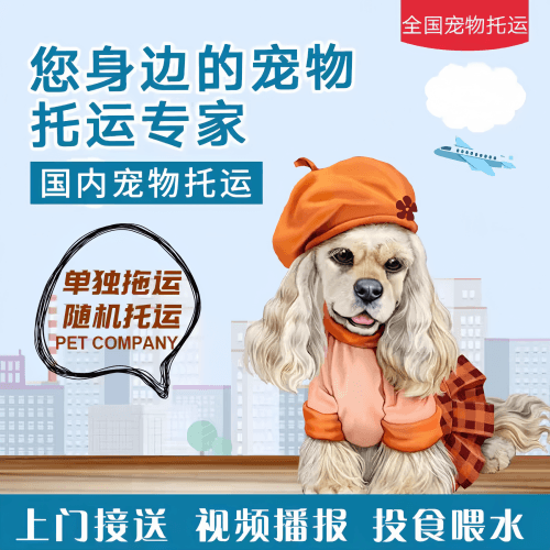 满财三门峡市宠物全球达宠物托运作为专业的宠物运输代理机构